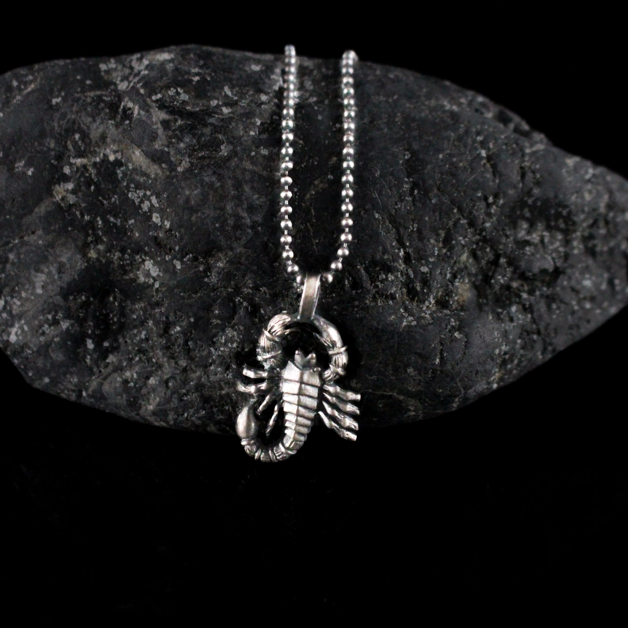 Sterling Scorpion Necklace